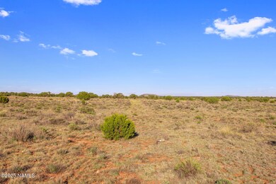 591 S Palmetto Rd, Valle, AZ 86046 - photo 6