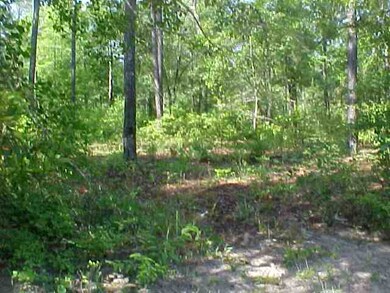 0 Hugo Rd unit 1108804, Conway, SC 29527 - photo 2