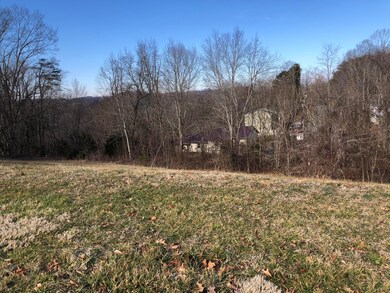 IMG-6787