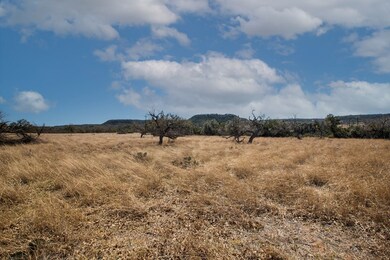 1 E Lower Crabapple Rd unit 1, Fredericksburg, TX 78624 - photo 2