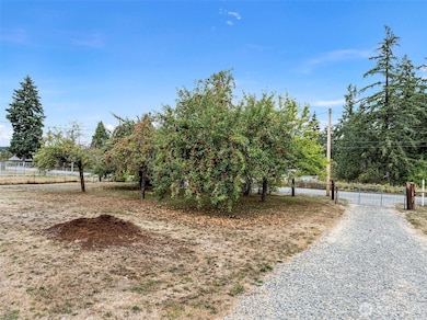 7804 280th St S, Roy, WA 98580 - photo 4