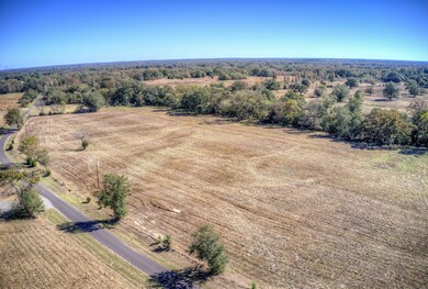 Tbd Tract B County Road 1468, Quitman, TX 75783 - photo 7