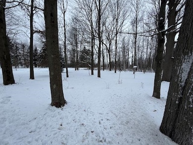 1703 E Coggins Rd, Pinconning, MI 48650 - photo 4