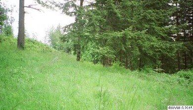 0 Mirror Pond Estates Lot 2 unit 682783, Amity, OR 97101 - photo 7