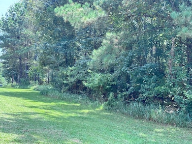 190 Ella Point, Lumberton, MS 39455 - photo 5