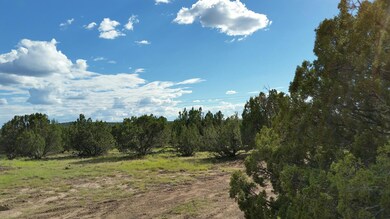 1639 Silver Lake Blvd, White Mountain Lake, AZ 85912 - photo 4