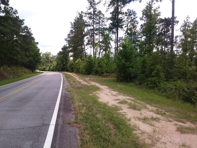 5 Neals Mill Rd, Dearing, GA 30808 - photo 3