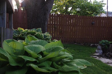 IMG_1 (1)