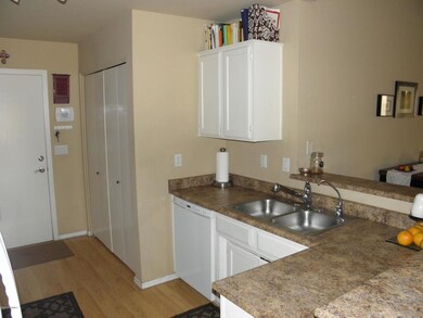 3869 W Folley ST 85226 - Kitchen