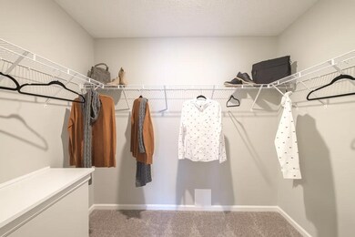 Owner's Walk-In Closet