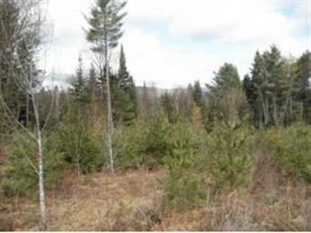 76 Hubberton Rd, Lyman, NH 03585 - photo 4