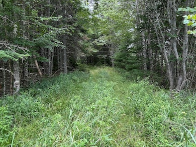 M5L13-3 Lot unit WP001, South Thomaston, ME 04858 - photo 7