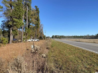 TBD 1.0 Acre Highway 378, Conway, SC 29527 - photo 2