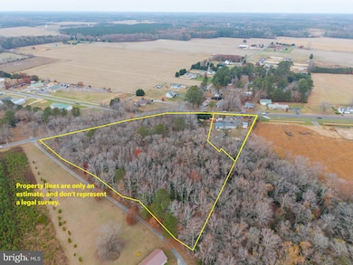 23247 Hollyville Rd, Harbeson, DE 19951 - photo 4