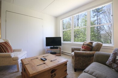 28 Packards Rd unit 328, Waterville Valley, NH 03215 - photo 3
