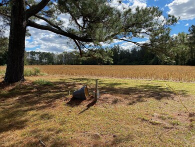 3492 Us Highway 70 Bus E, Smithfield, NC 27577 - photo 4