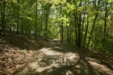 11873 State Route 93 N, Logan, OH 43138 - photo 5