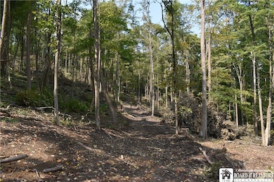 0 Route 380 unit R1636418, Ellicott, NY 14701 - photo 7