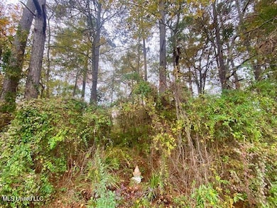 0 Llewellyn Ave, McComb, MS 39648 - photo 6