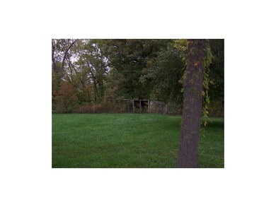 Side Yard to the East of the Drive