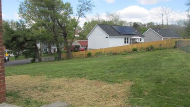 Huge back yard! Add garage or garden!