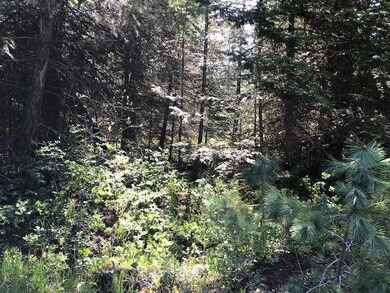 235 Sherman Ln, Bigfork, MT 59911 - photo 3