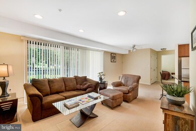 1002 Primrose Rd, Annapolis, MD 21403 - photo 4