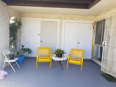 PATIO PHOTO 2