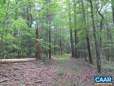 200 ac Buck Island Rd, Scottsville, VA 22902 - photo 6