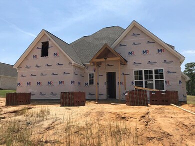 420 Elizabeth Ct, Oxford, MS 38655 - photo 6