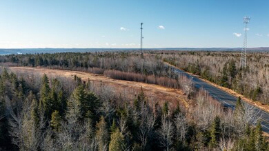 Alexander Acreage - Billy Howard (2 of 4