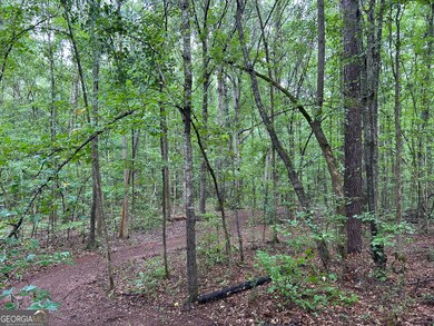 0 Bush St unit 10582678, Barnesville, GA 30204 - photo 5