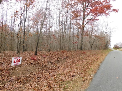 5 Acres Brights Rd, Gretna, VA 24557 - photo 3