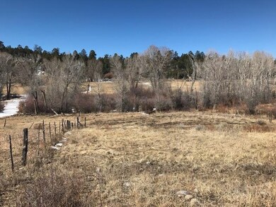 TBD Nm State Rd 115, Canjilon, NM 87518 - photo 5