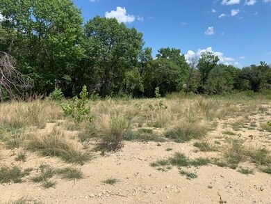 TBD Silver Creek Azle Rd, Azle, TX 76020 - photo 6