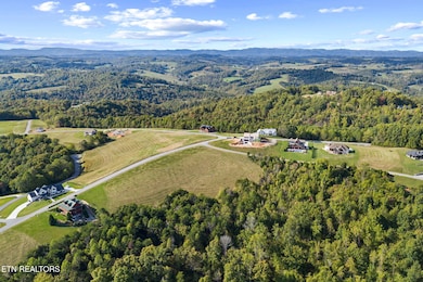 164 Feldspar Rd, New Tazewell, TN 37825 - photo 6