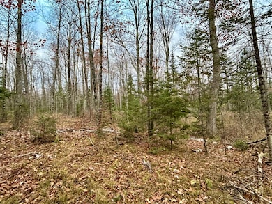 Lot 1 Old Elcho Rd, Pelican Lake, WI 54463 - photo 2