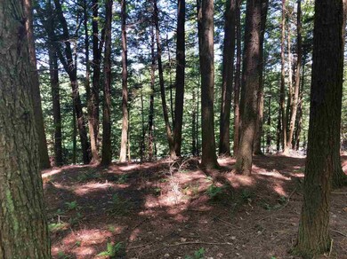 6 Fern Ln, Hanover, NH 03755 - photo 4