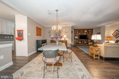 The Trianon unit 310, Bala Cynwyd, PA 19004 - photo 5