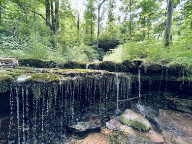 122 Mercy Ln, Cookeville, TN 38506 - photo 6