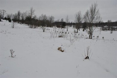 869 230th Ave, Reed City, MI 49677 - photo 4