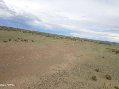 47_48 pic 5