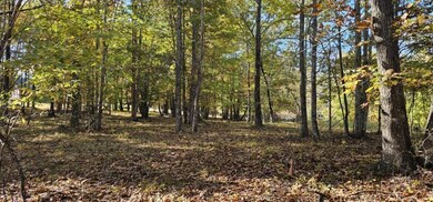 Lot 515 Wilderness Way, Dunlap, TN 37327 - photo 4