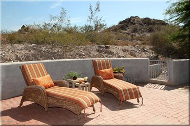 Back-Yard-1