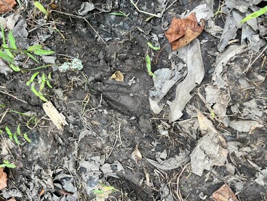 BFF 5 Brunson Teal Rd unit BFF 5, Chester, SC 29584 - photo 6