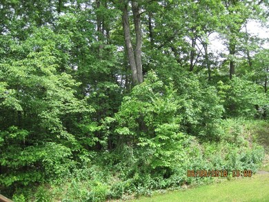 73 Lebeaux Dr unit 73, Shrewsbury, MA 01545 - photo 5