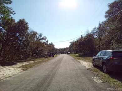 8833 N Spartan Dr, Citrus Springs, FL 34433 - photo 5