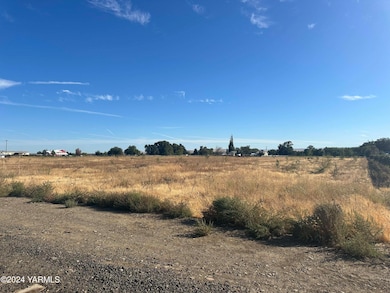 NKA Branch Rd, Toppenish, WA 98948 - photo 2