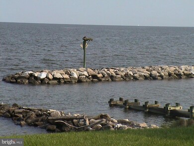 51 Bay Dr, Annapolis, MD 21403 - photo 4