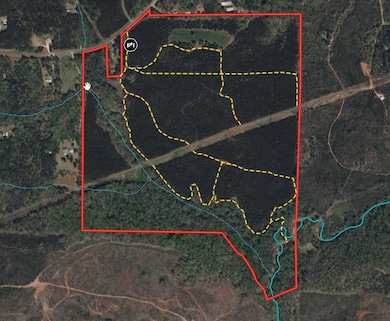 180.14 Johnson Mill Rd, Hamilton, GA 31811 - photo 2